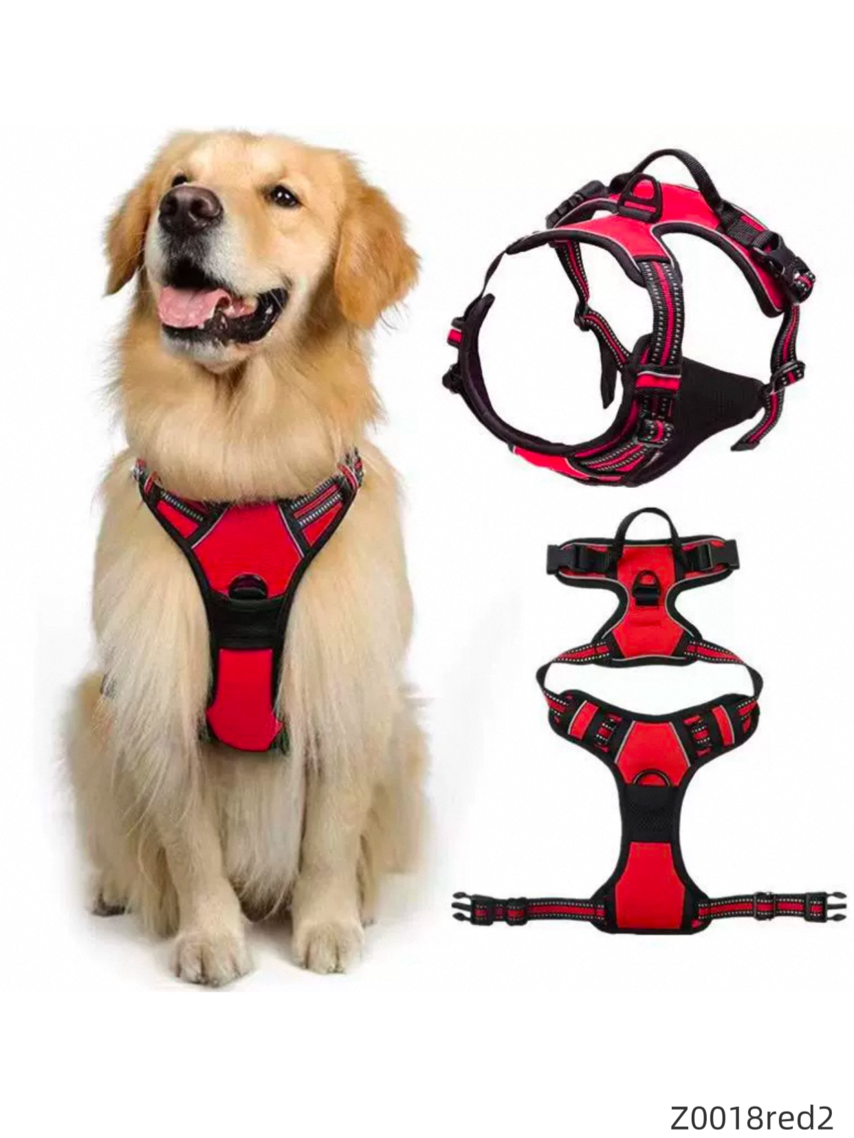 Z0018 Pet Carrier