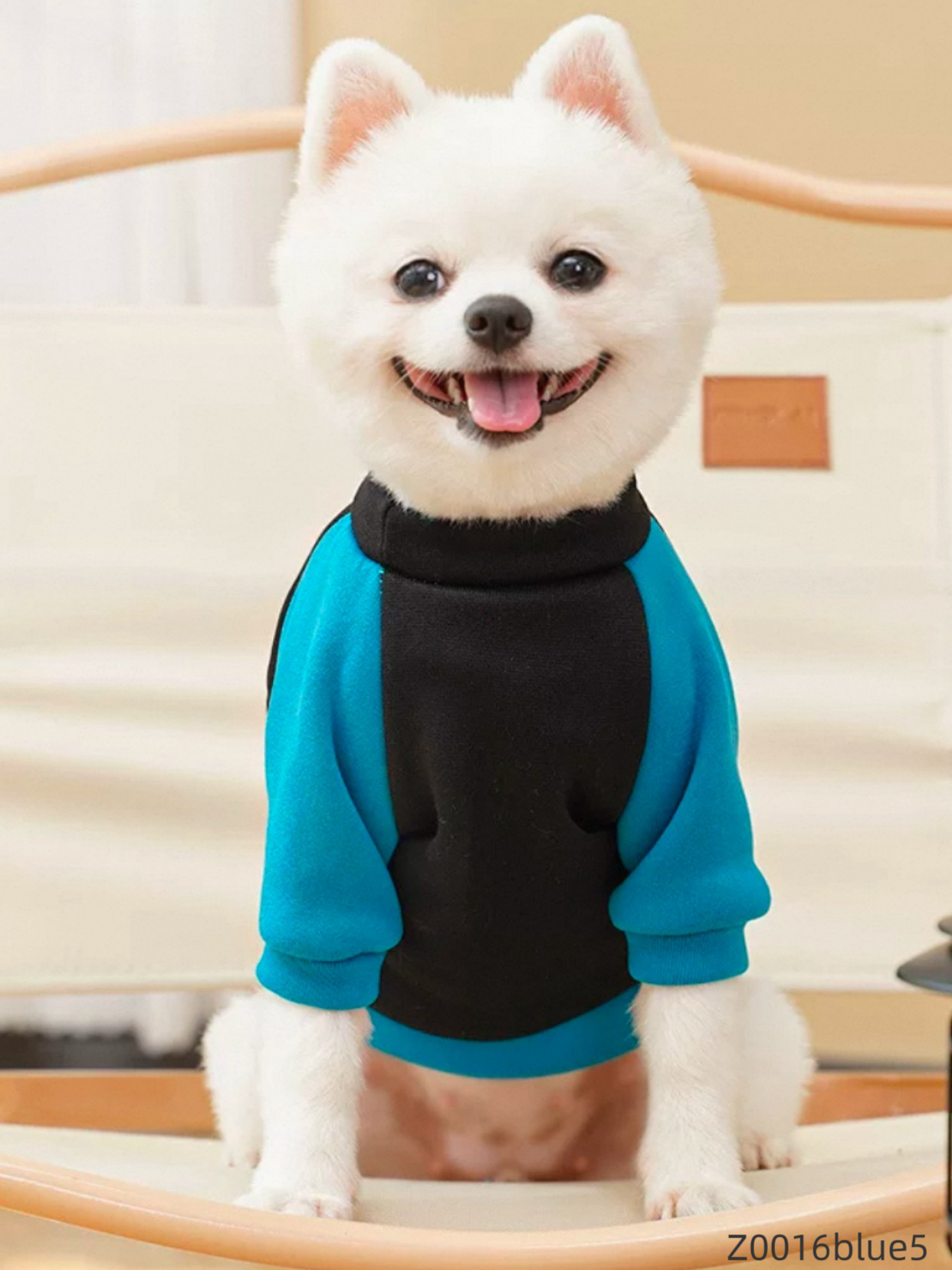 Z0016 Hip Hop Dog Pet Sweatshirt