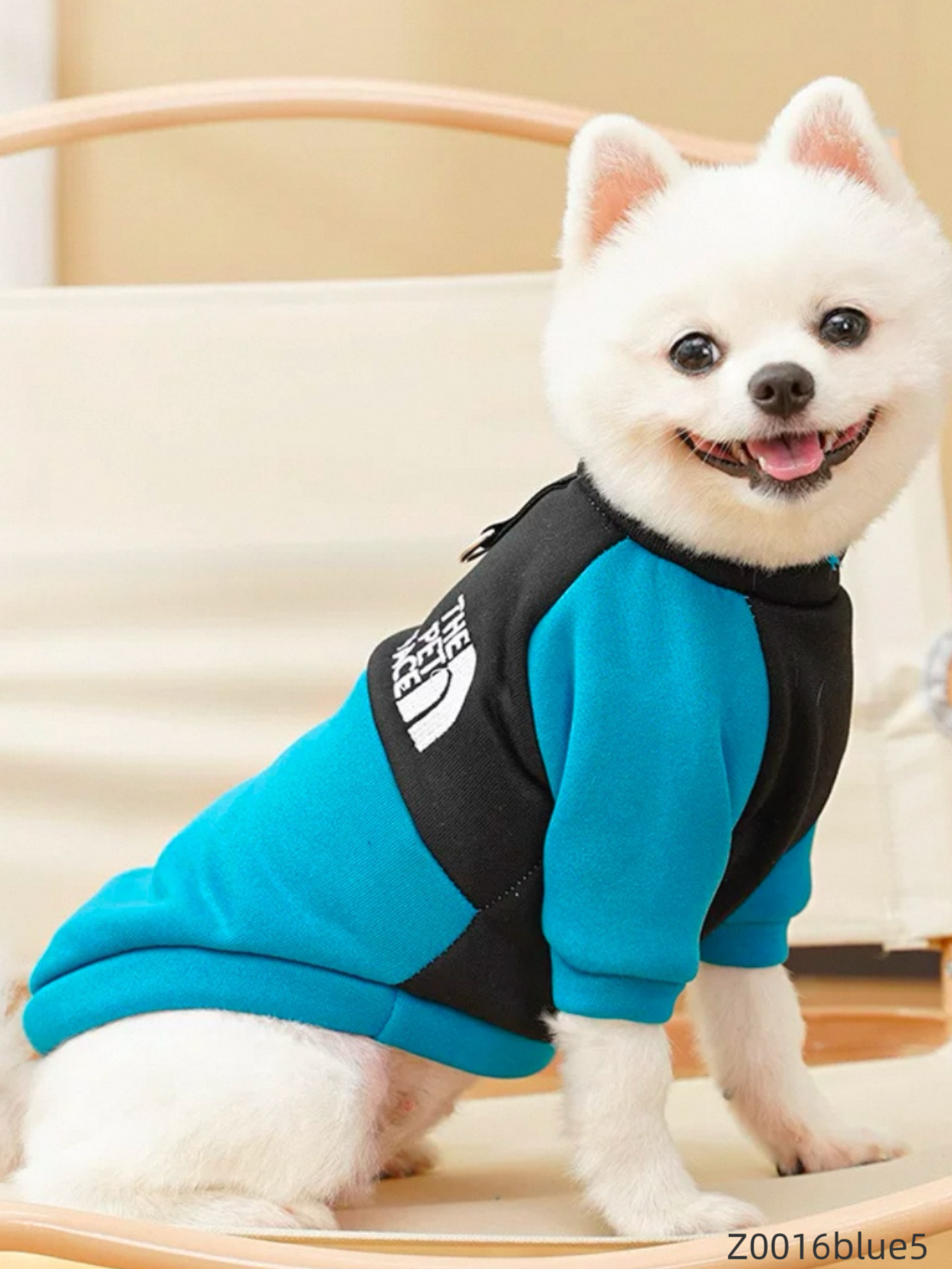 Z0016 Hip Hop Dog Pet Sweatshirt